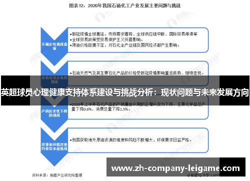 英超球员心理健康支持体系建设与挑战分析：现状问题与未来发展方向