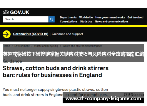 英超或将暂按下暂停键掌握关键应对技巧与风险应对全攻略指南汇编