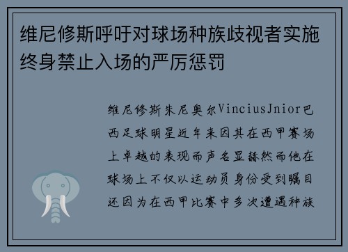 维尼修斯呼吁对球场种族歧视者实施终身禁止入场的严厉惩罚